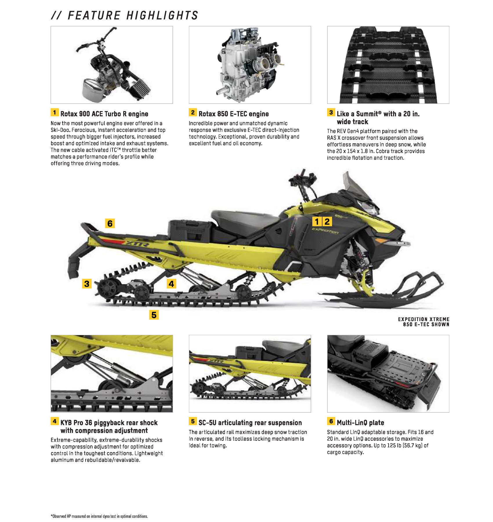 2025 Ski-Doo Expedition Xtreme