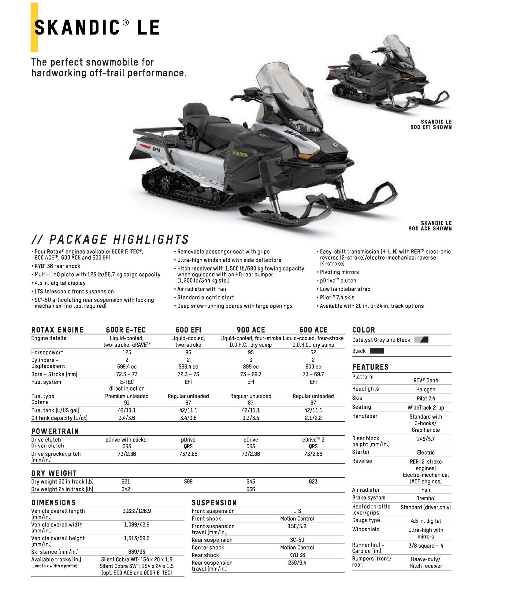 2025 Ski-Doo Skandic LE