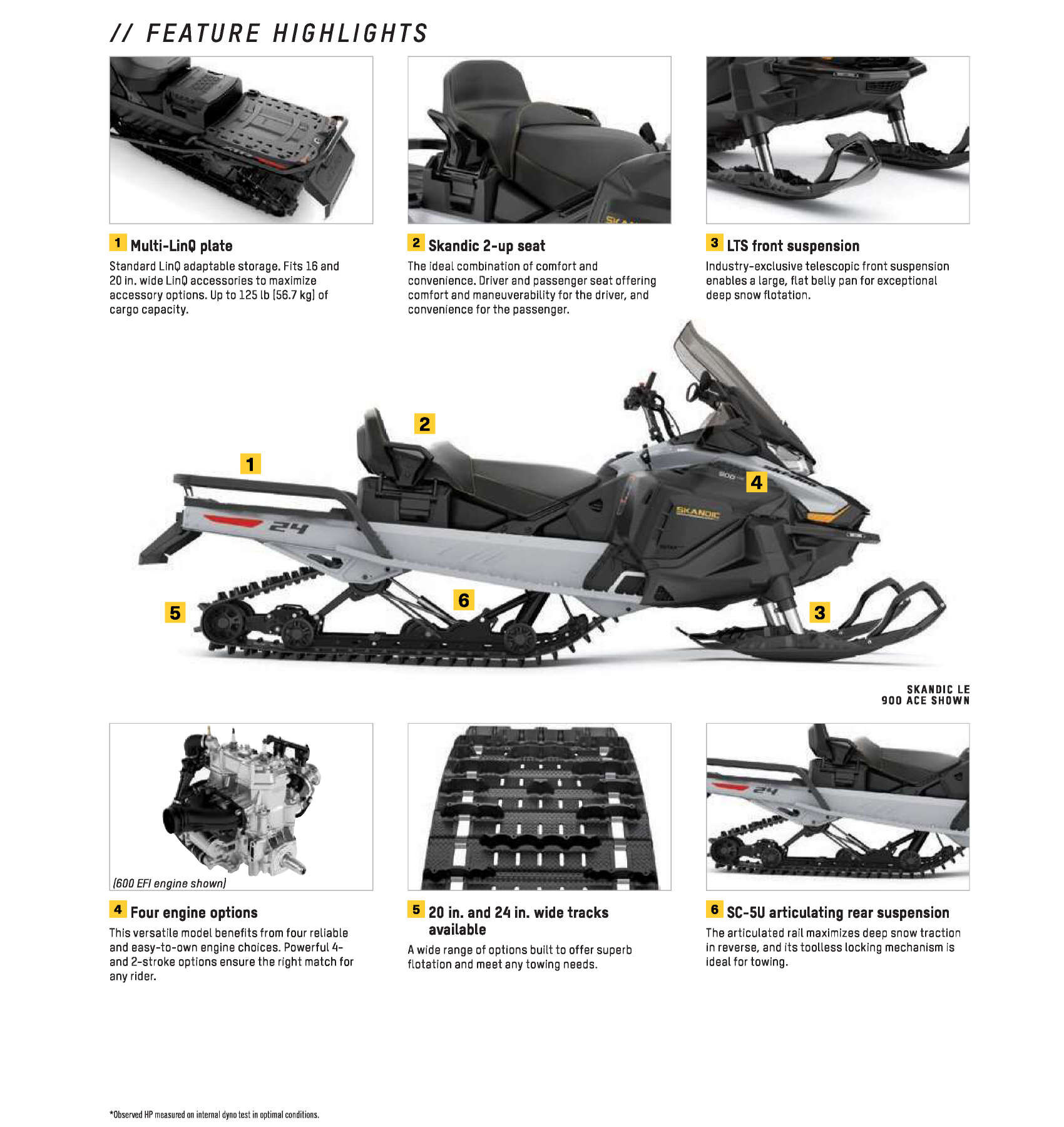 2025 Ski-Doo Skandic LE